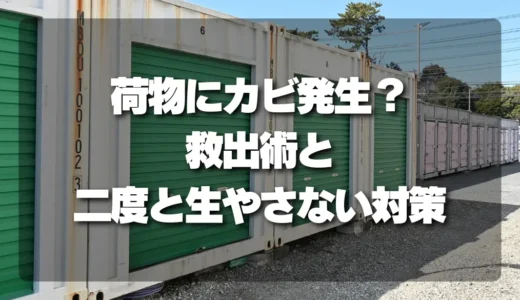 【ヤバい！】トランクルームの荷物にカビ発生？プロが教える救出術と二度と生やさない対策