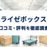 ライゼボックスの口コミ・評判を紹介する記事のアイキャッチ画像
